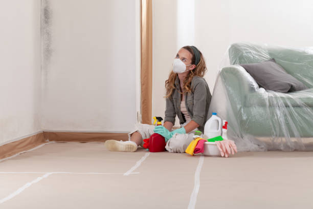 Reliable Mold Remediation contractor in Greenville, NC by Cheap Mold Removal